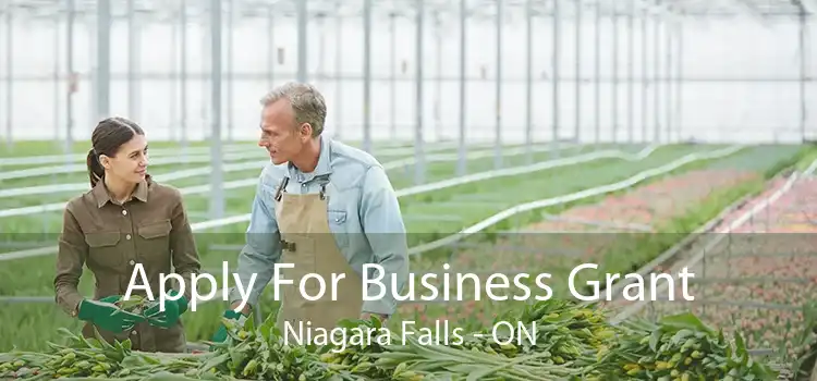 Apply For Business Grant Niagara Falls - ON